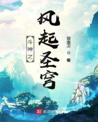 斗神之风起圣穹